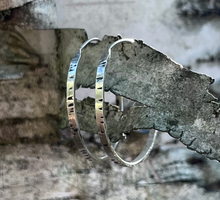 Load image into Gallery viewer, Earrings Birch Hoops
